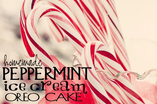 Homemade Peppermint Ice Cream Oreo Cake is a delicious Christmas dinner dessert! Chocolate and mint combine to create a tasty wintry holiday delight. You'll want to serve this again and again!